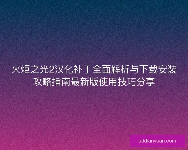 火炬之光2汉化补丁全面解析与下载安装攻略指南最新版使用技巧分享