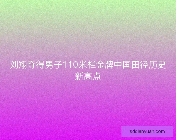 刘翔夺得男子110米栏金牌中国田径历史新高点
