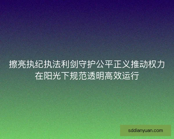 擦亮执纪执法利剑守护公平正义推动权力在阳光下规范透明高效运行