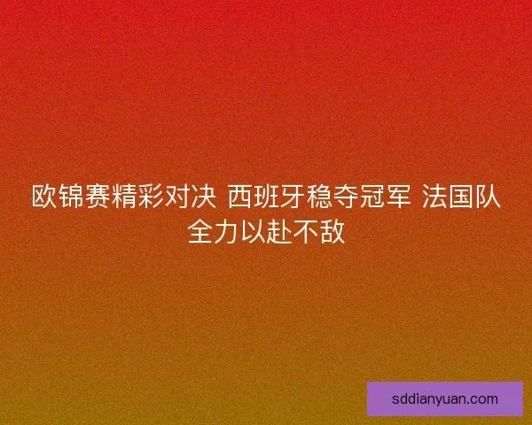 欧锦赛精彩对决 西班牙稳夺冠军 法国队全力以赴不敌